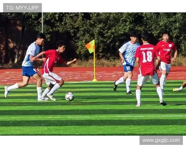 绿茵逐梦激情燃烧探秘世界足球背后的荣耀与奋斗