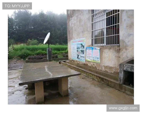 张敏的乒乓球人生深度对话与成长历程的启示与反思