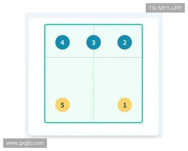 排球战术解析：西安排球队如何运用包夹战术提升比赛优势
