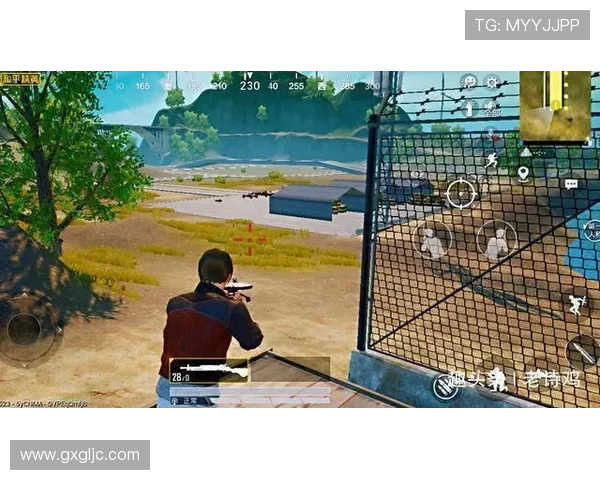 热议和平精英LNG战队状态变革背后的原因与未来展望