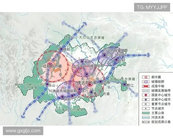 探索网球运动魅力与全球竞技格局演变趋势的深度解析研究全面探讨