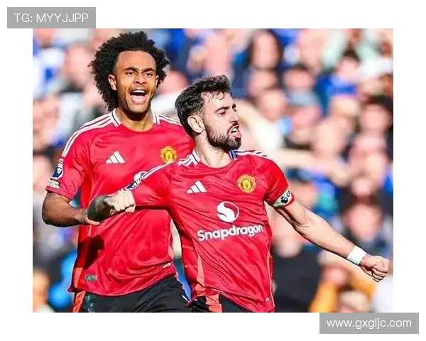 埃弗顿主场迎战西汉姆联双方争夺英超宝贵积分之战